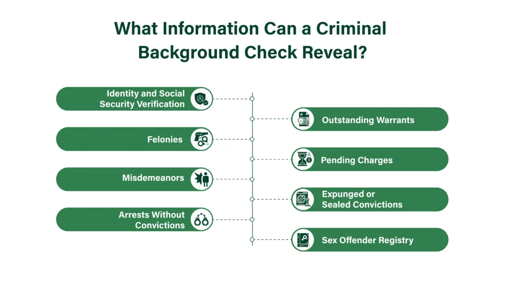 What Information Can a Criminal Background Check Reveal