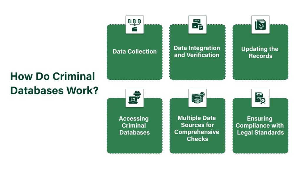 How Do Criminal Databases Work